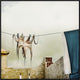 "Tote Hose" Framed Canvas Giclee by Ambra, 31x31"