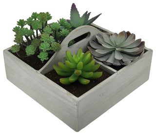 Artificial Succulent Plant Garden in Wooden Box
