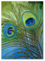 Color Bakery 'Peacock Candy I' Canvas Art, 18"x24"