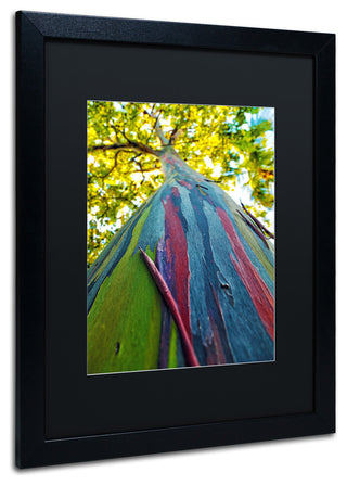 CATeyes 'Rainbow Eucalyptus Tree', Black Frame, Black Mat, 20x16