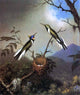 Martin Johnson Heade Hummingbirds at Their Nest, Sun Gems Wall Decal