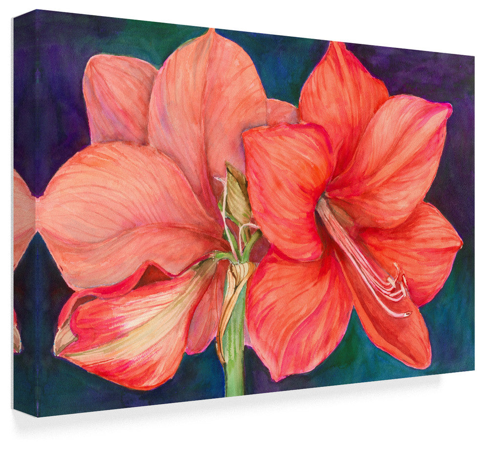 Joanne Porter 'Amaryllis Blooms' Canvas Art, 24"x16"