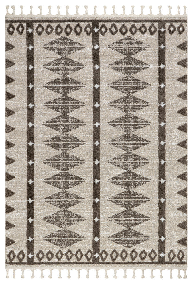 Autumn Geometric Tasseled Area Rug, Beige 10' x 13'