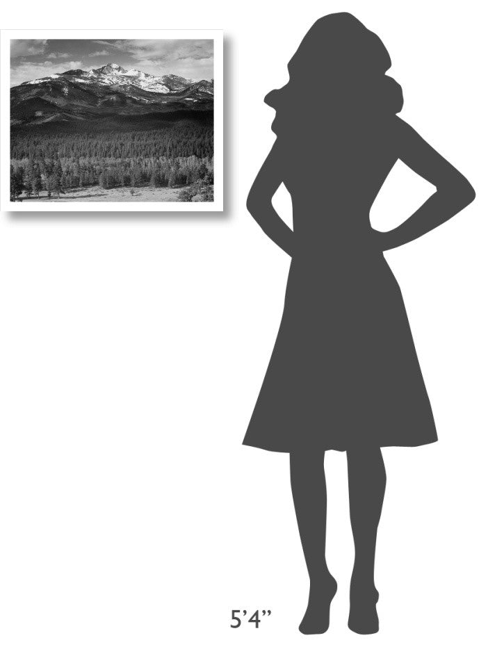 "Trees, snow covered mountain, Rocky Mountain NP, 1941-1942" Paper Art, 24"x20"