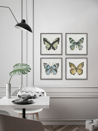 Fly Like a Butterfly Quadriptych, Set of 4, 18x18 Panels
