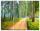"Road in Green Morning Forest" Photo Metal Wall Art, 3 Panels, 36"x28"