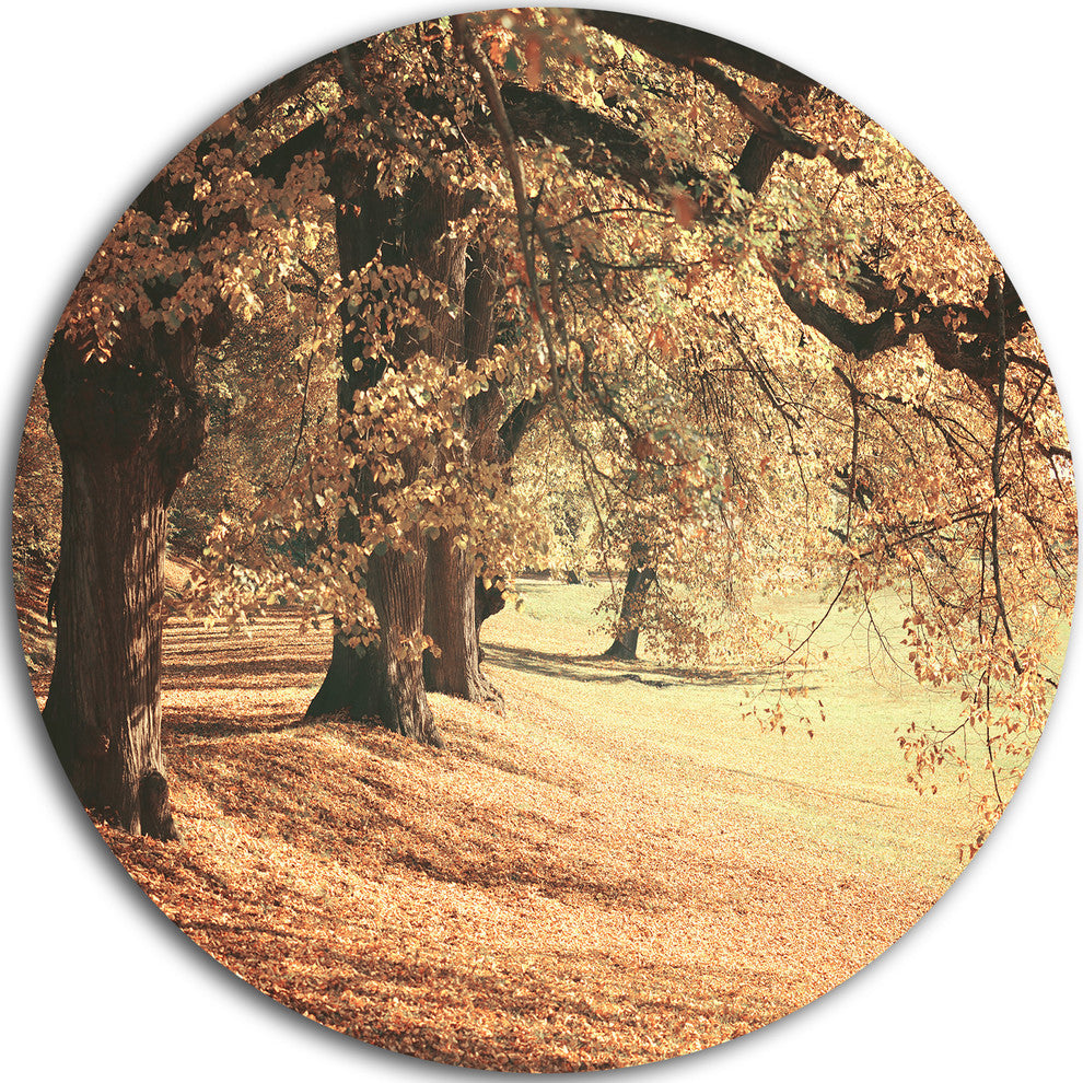 Dreamy Imagery Of Autumn Forest, Modern Forest Disc Metal Artwork, 36"