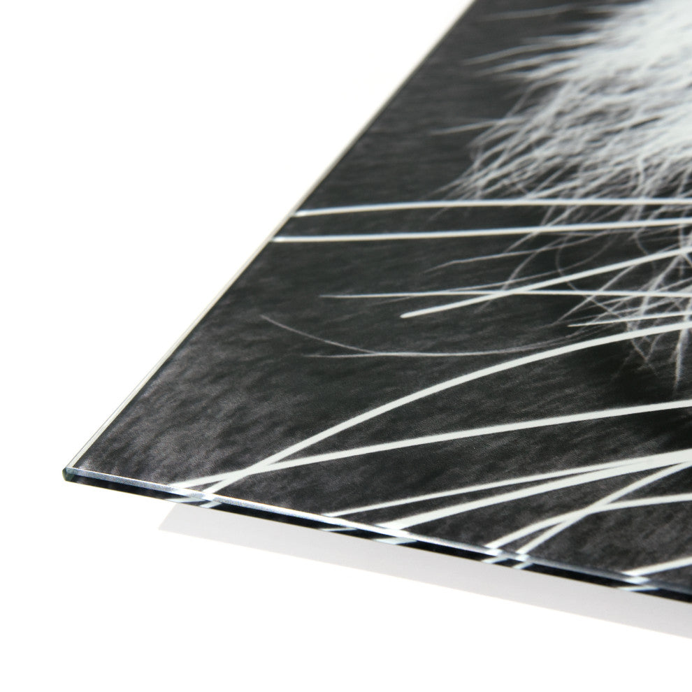 "Tiger ABC" Frameless Free Floating Tempered Glass Panel Graphic Wall Art Set