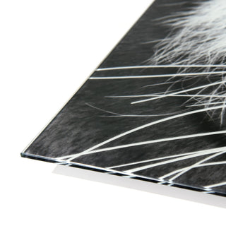 "Tiger ABC" Frameless Free Floating Tempered Glass Panel Graphic Wall Art Set