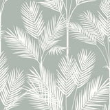 King Palm Silhouette Wallpaper