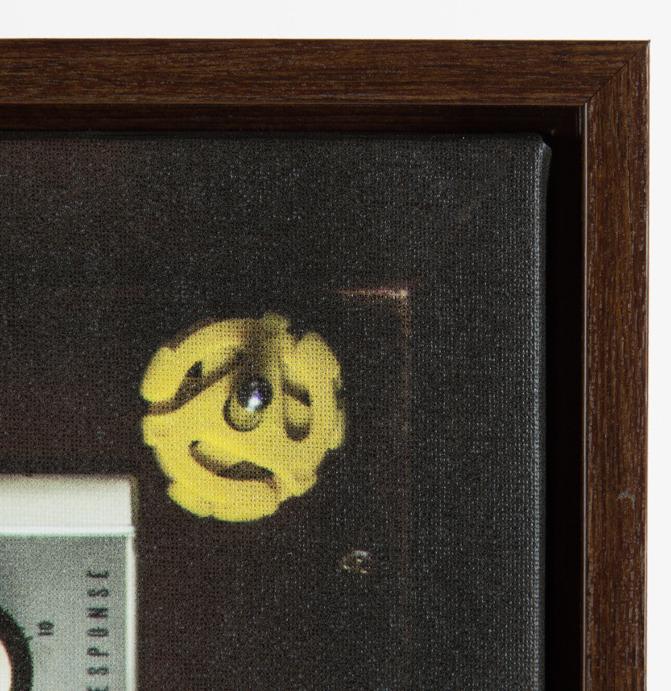 Sylvie High Fidelity 18x24 Walnut Brown Framed Canvas Wall Art