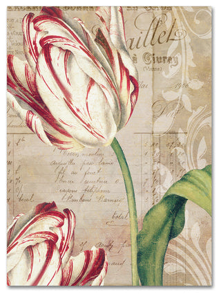 Color Bakery 'Tulips' Canvas Art, 14x19