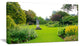 Plant and Flowers in Garden, Landscape Canvas Art Print, 60"x28"