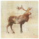 "Elk Study v2" Digital Paper Print by Studio Mousseau, 32"x32"