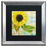 Color Bakery 'Soleil III' Matted Framed Art, Silver Frame, Black Mat, 16x16