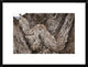 Folded Limestone Layers, Kaikoura, North Canterbury, New Zealand, 24"x18"
