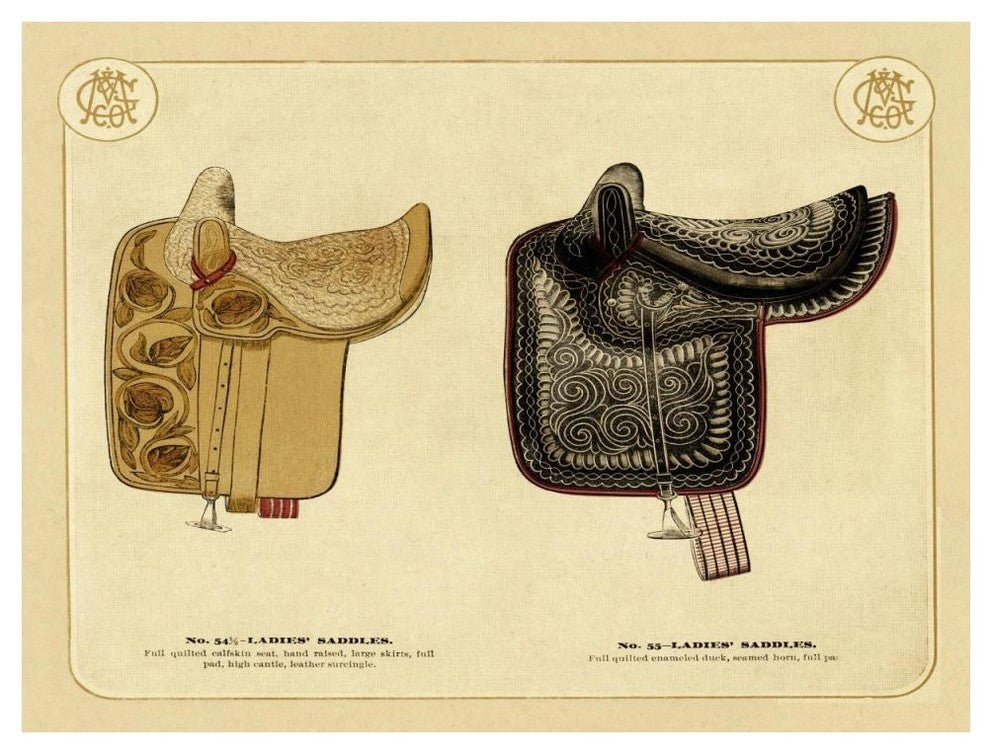 "Saddles and Tack: Ladies' Saddles #3" Digital Paper Print, 50"x38"