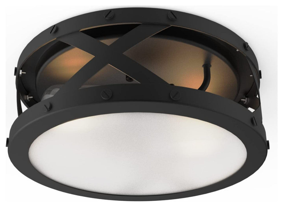 12 inch light round ceiling light fixture 2 light black cage Close to Ceiling