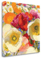"Sunny Abundance II" By Shirley Novak, Giclee Print on Gallery Wrap Canvas