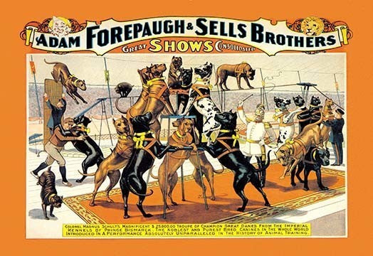 A Troupe of Champion Great Danes: Adam Forepaugh and Sells Brothers Great Shows