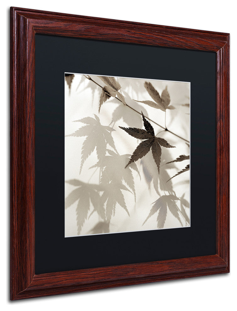 Alan Blaustein ''Florison 62'' Art, Wood Frame, Black Mat, 16x16