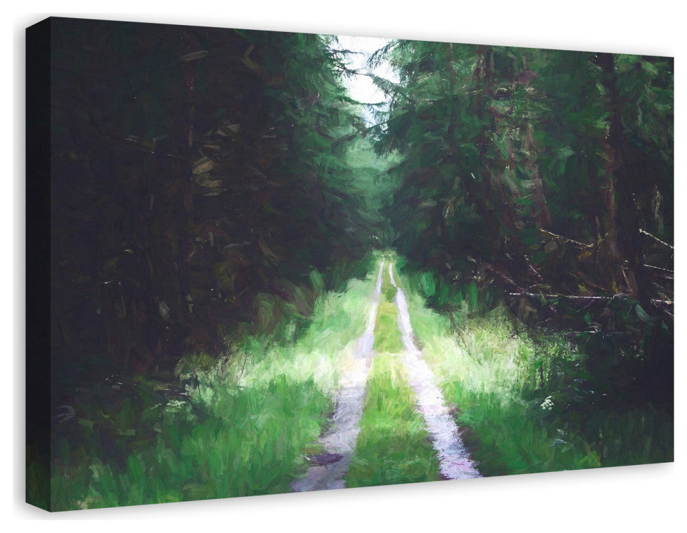 Dark Forest Path 30x20 Canvas