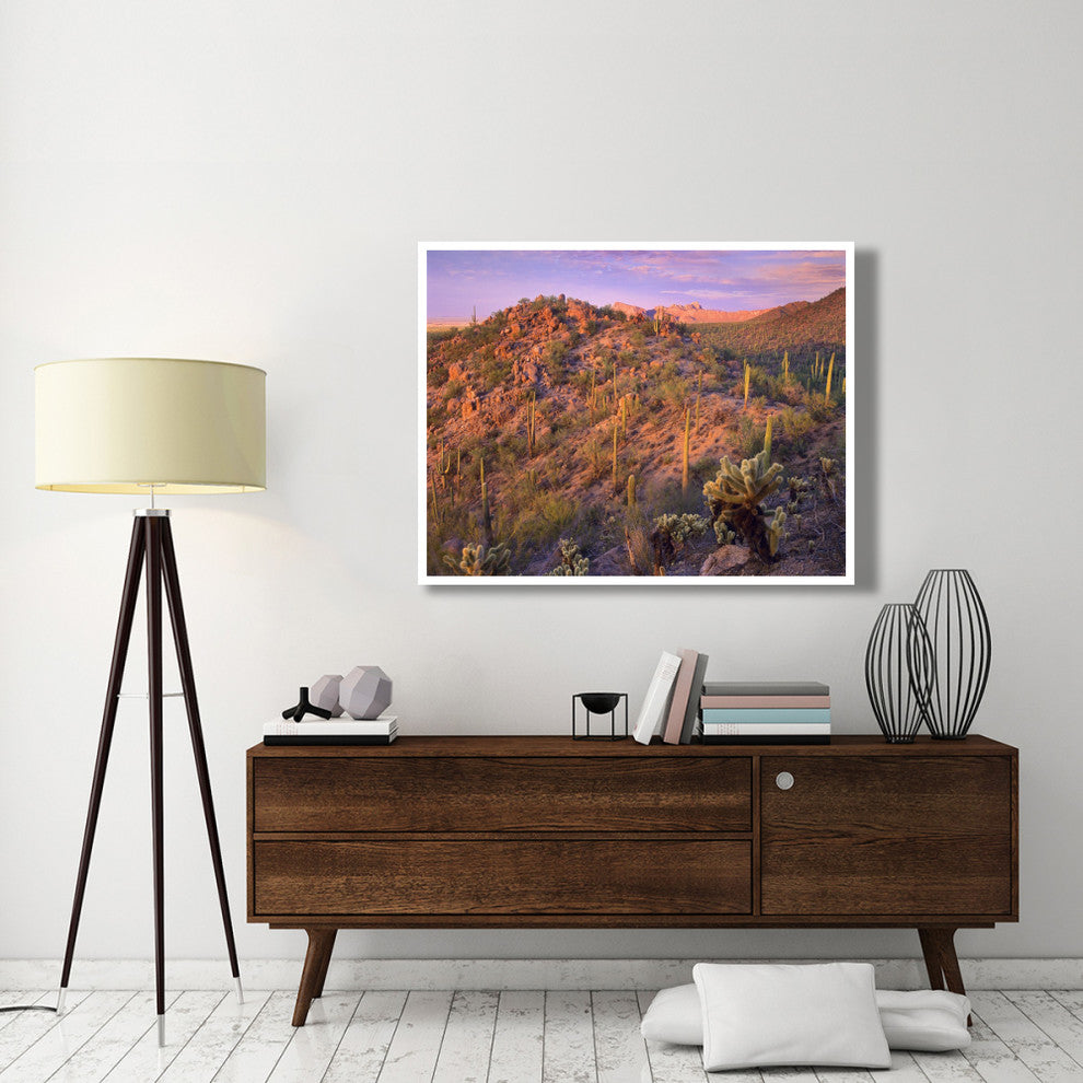 "Panther, Safford Peaks covered, Saguaro, Teddybear Cholla" Paper Art, 50"x38"
