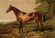 Fair Nell - Fine Art Giclee Print 24" x 36"