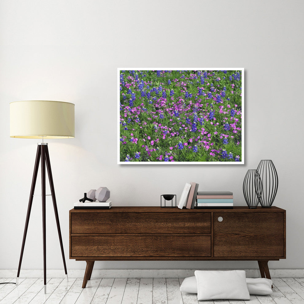 "Sand Bluebonnet and Pointed Phlox" Paper Print by Tim Fitzharris, 50"x38"