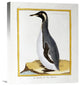 "A Penguin, Falkland Islands" Artwork