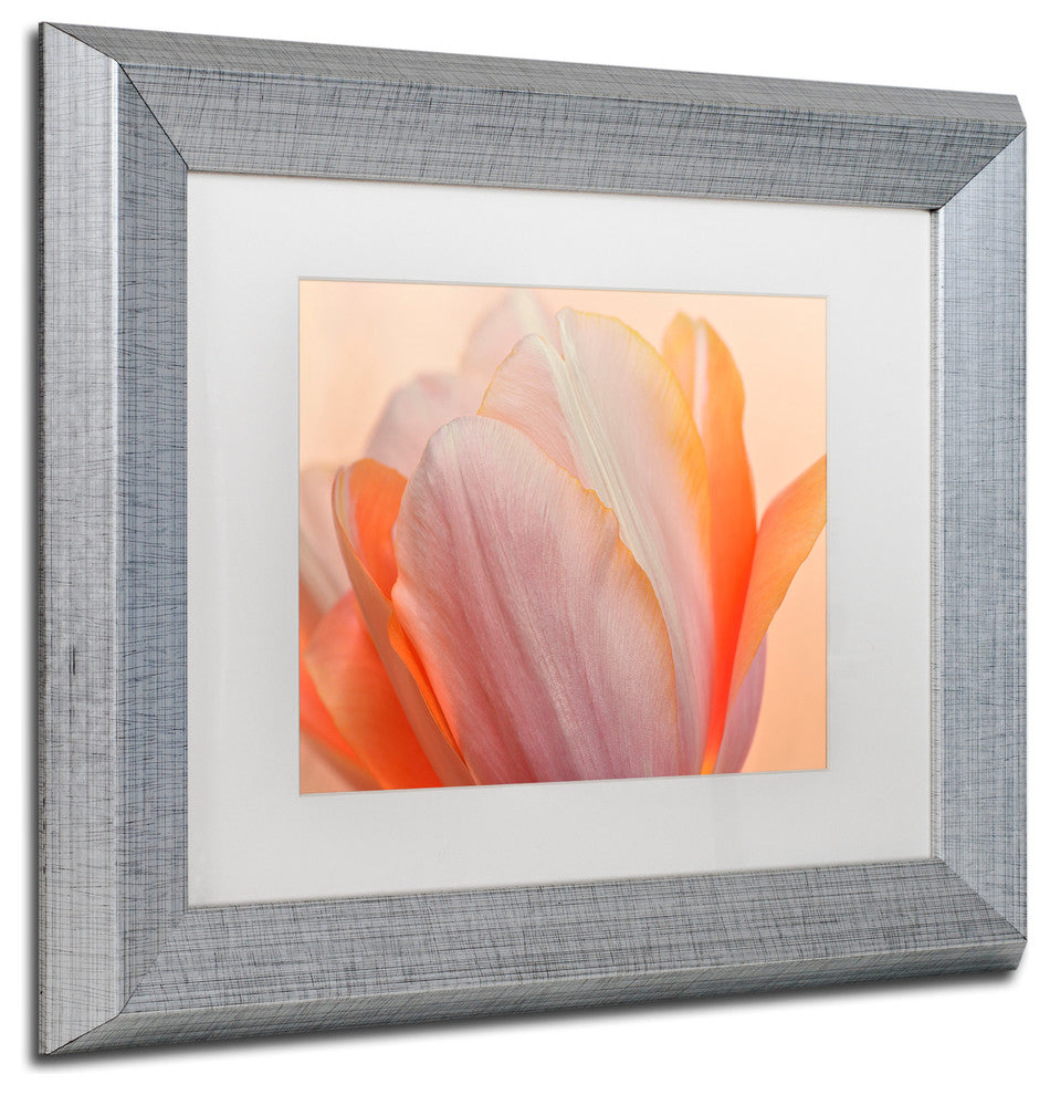 Cora Niele 'Orange Glowing Tulip' Matted Framed Art