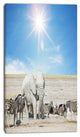 White Elephant and Herd of Zebras, Abstract Canvas Art Print, 16"x32"