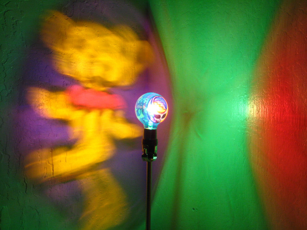 Dancing Bear Bulb