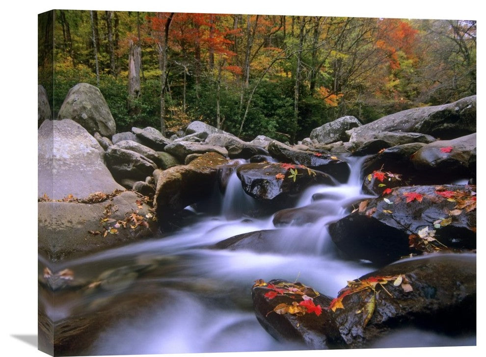 "Little Pigeon River, Great Smoky Mountains National Park, Tennessee" Artwork
