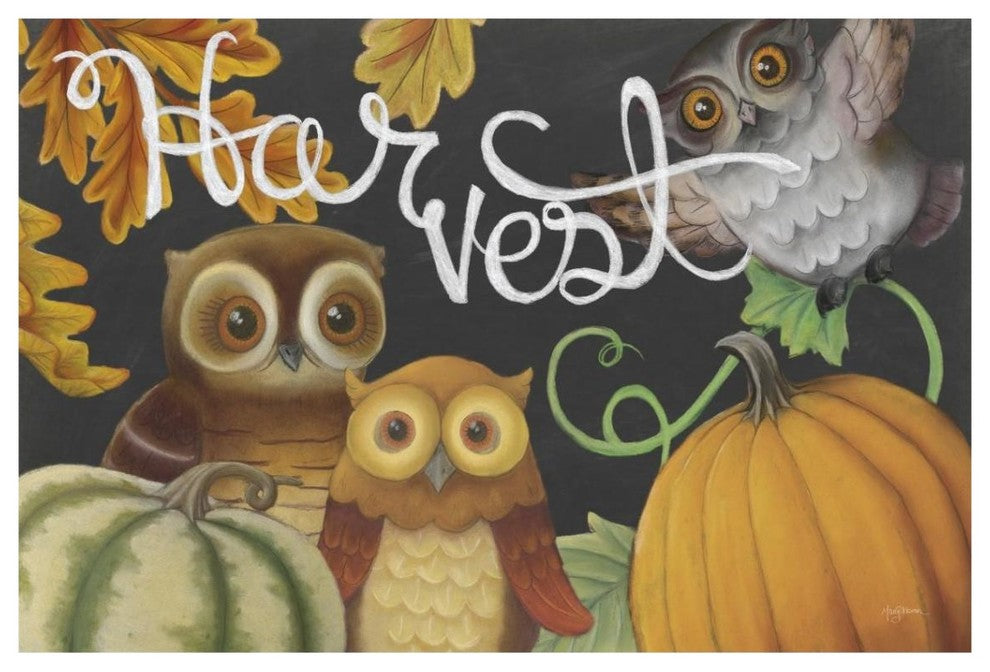 "Harvest Owl IV" Digital Paper Print by Mary Urban, 38"x26"