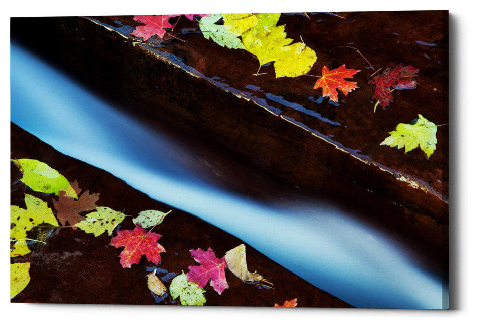 Epic Graffiti "A Cut in the Terrace" Giclee Canvas Wall Art, 40"x60"