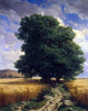 Alexandre Calame Landscape With Oaks, Gallery Wrapped Canvas Print, 20"x25"