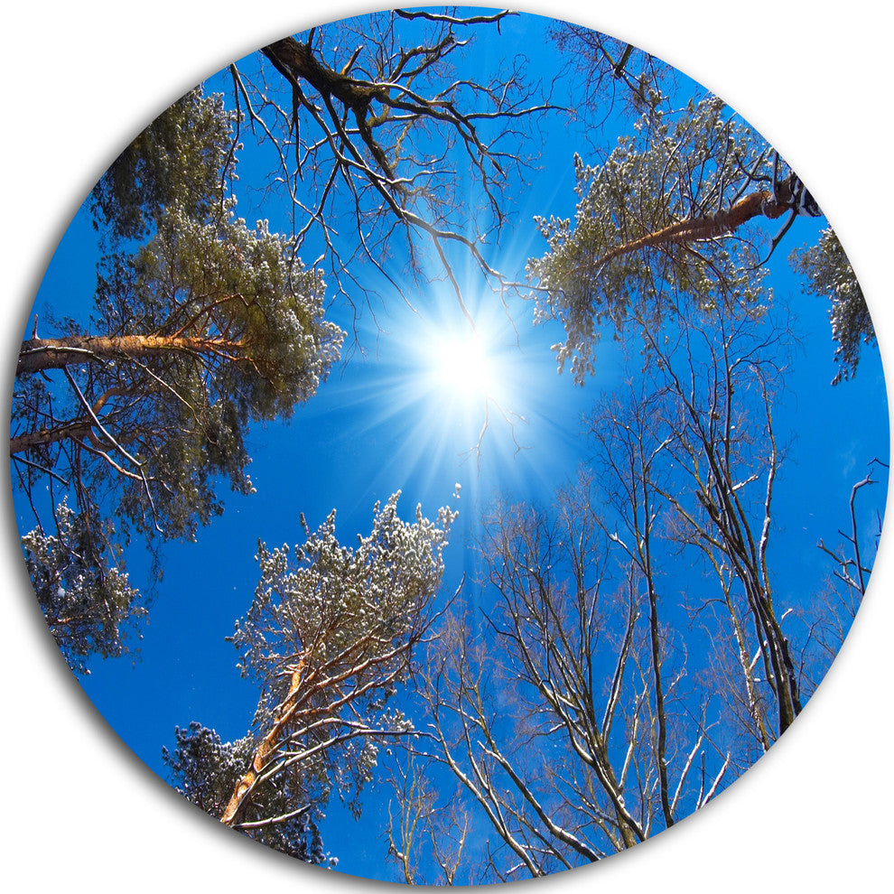 Bright Sun In The Tree Top Circle, Forest Disc Metal Artwork, 23"