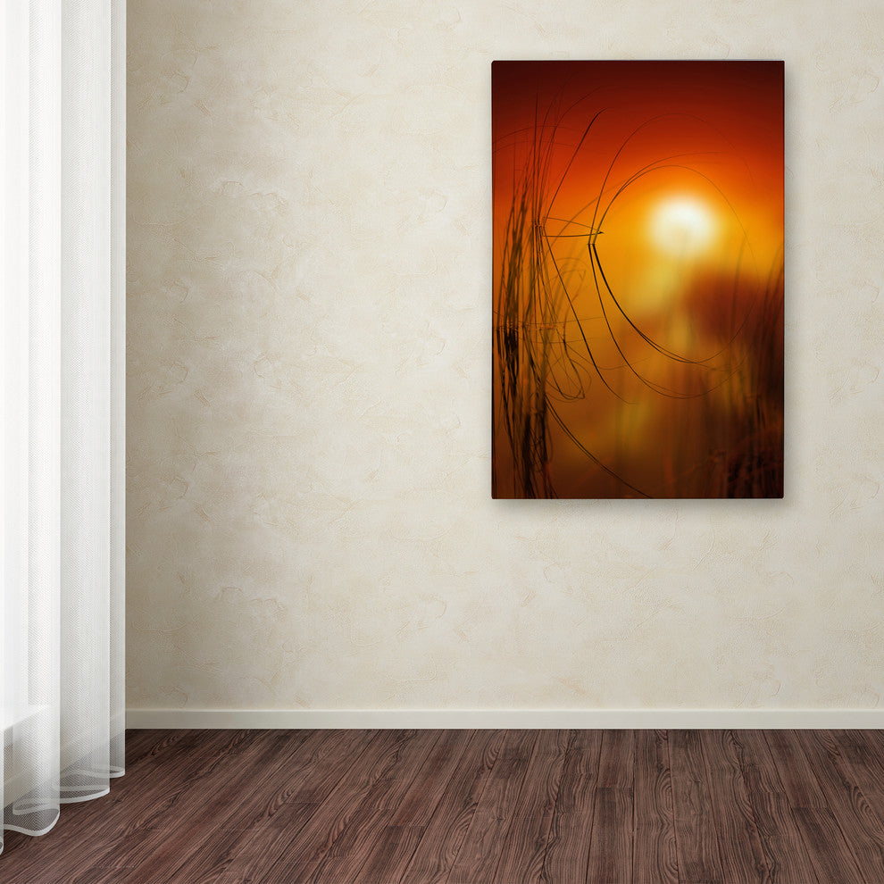 'Nature Time Machine' Canvas Art by Philippe Sainte-Laudy