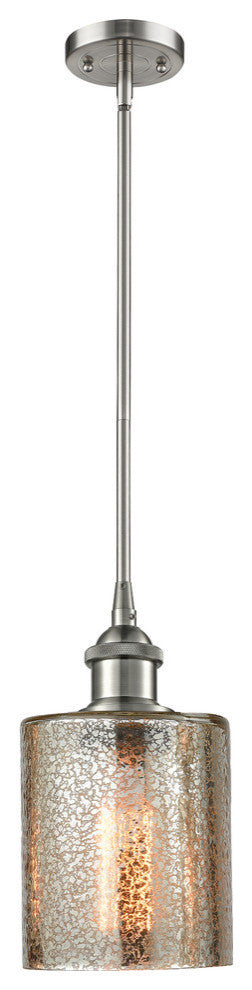 Cobbleskill 1-Light Pendant, Mercury Glass, Satin Brush Nickel