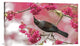 "Tui 39" Stretched Canvas Giclee by Kurien Yohannan, 30x18"
