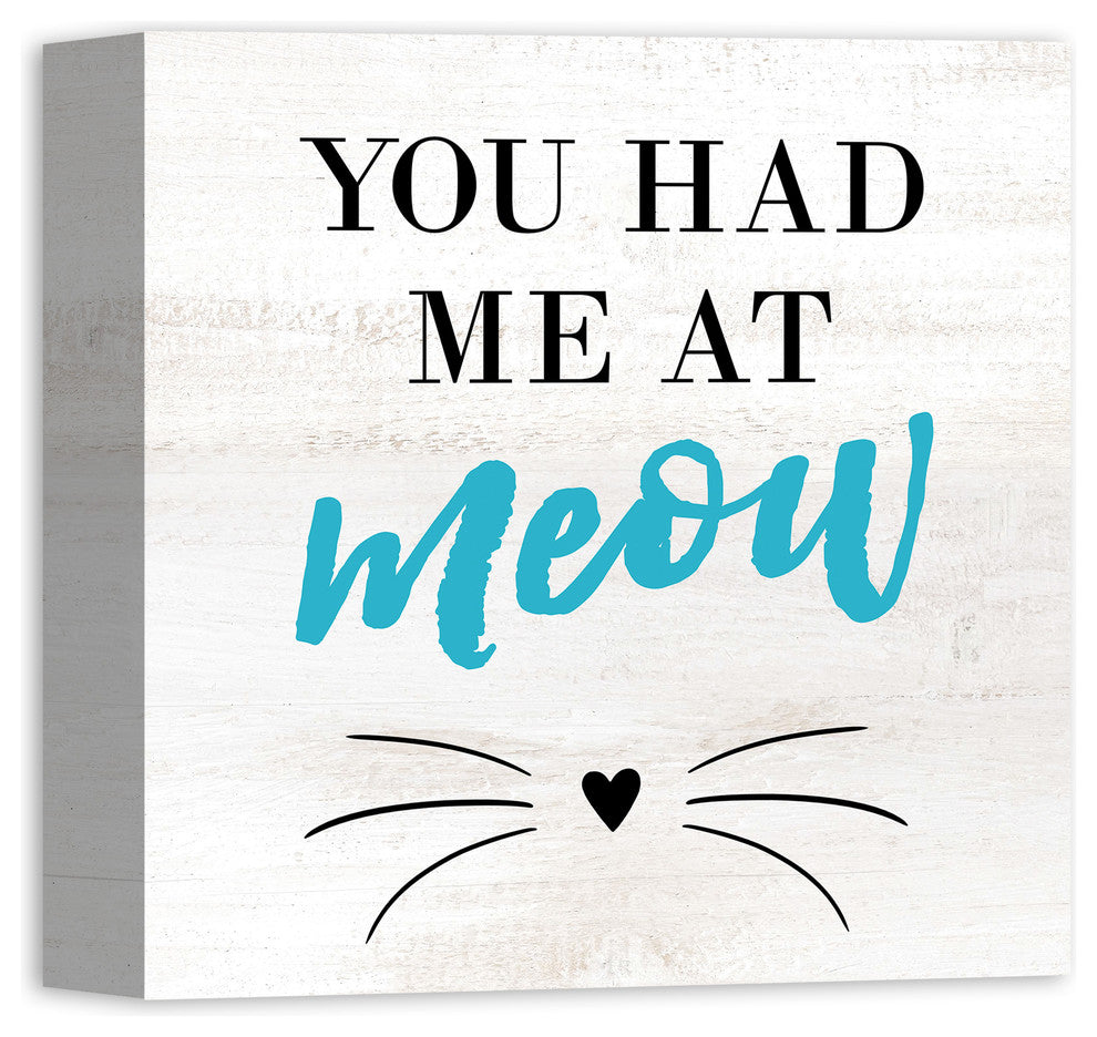 Designs Direct Had Me At Meow 12x12 Canvas Wall Art