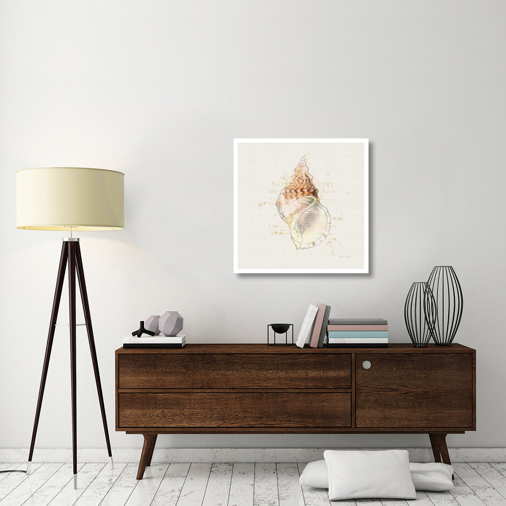 "Shell Collector III" Digital Paper Print by Katie Pertiet, 32"x32"