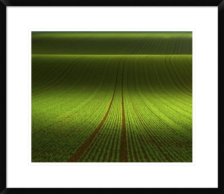 "November Green" Framed Digital Print by Franz Schumacher, 28x24"