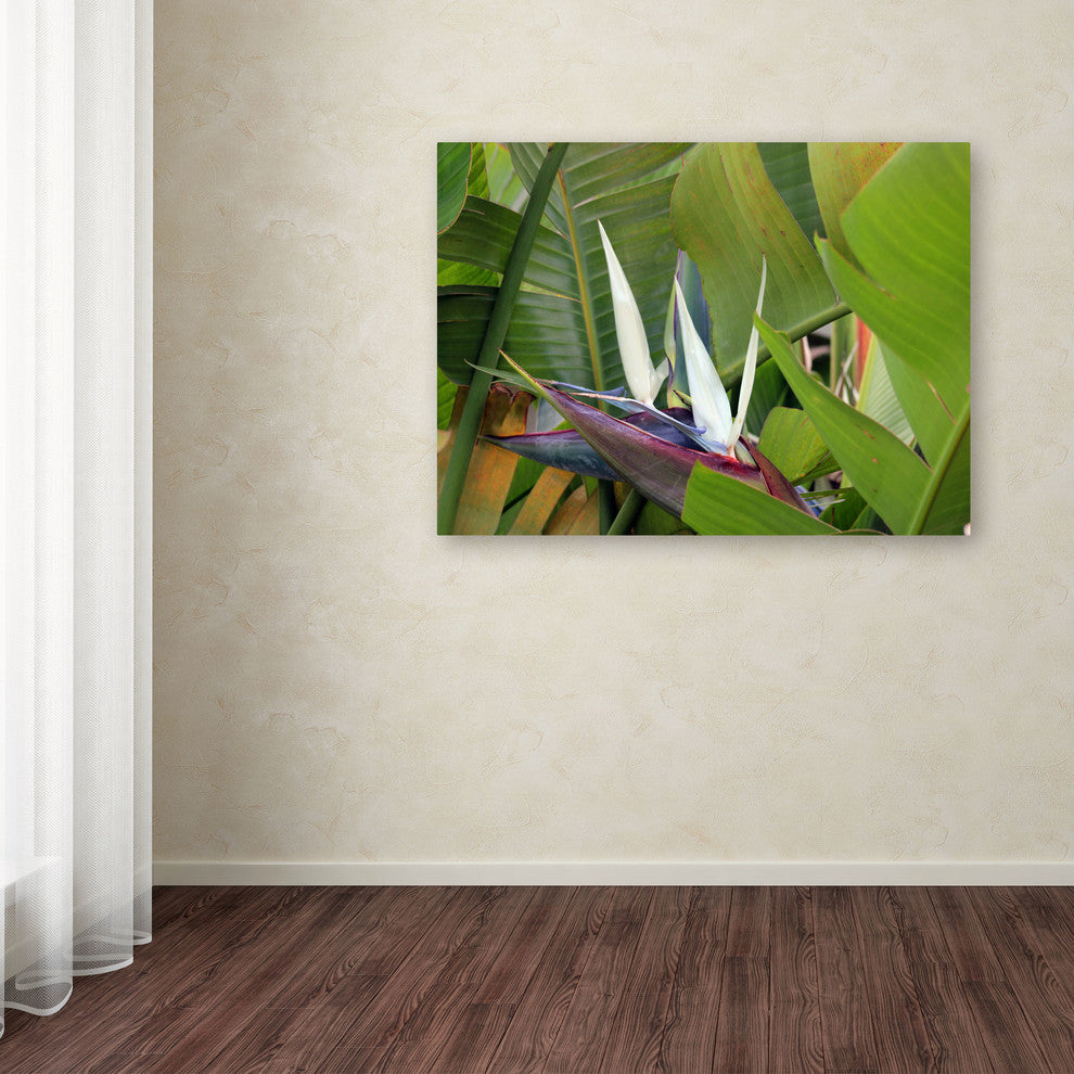 'Paradise 2' Canvas Art by Patty Tuggle