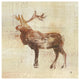 "Elk Study" Digital Paper Print by Studio Mousseau, 42"x42"