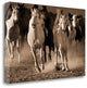 "About Face" By Lisa Dearing, Giclee Print on Gallery Wrap Canvas, Ready to Hang