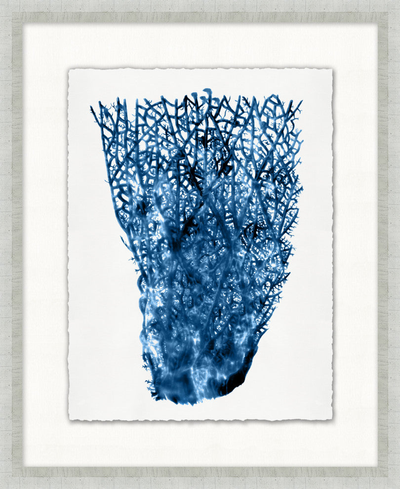 Blue Sea Fan 4, Giclee Reproduction Artwork