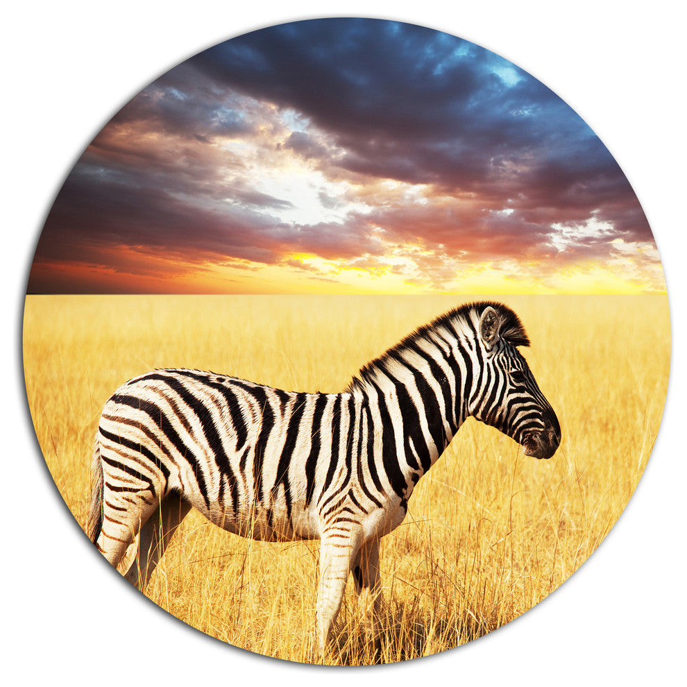 Solitary Zebra In African Grassland, African Round Metal Wall Art, 23"