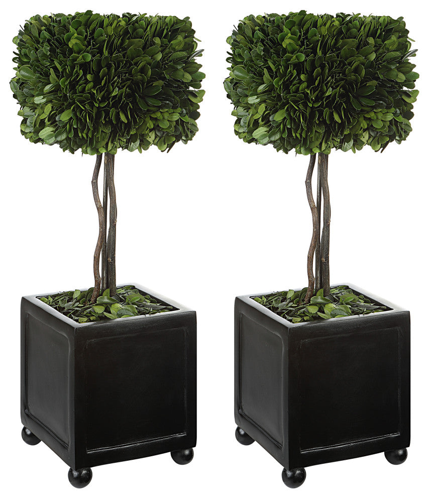 Uttermost Preserved Boxwood Square Topiaries, 2-Piece Set